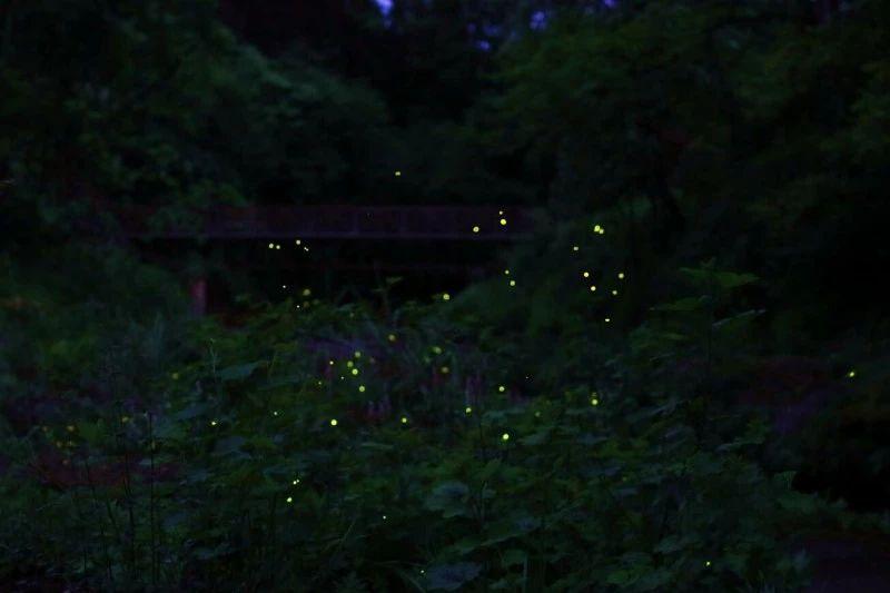 逃离广阔的山川